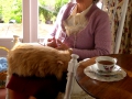 frickies-tournage-faux-chat
