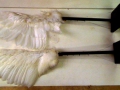 le-gaulois-paire-d-ailes-mecaniques