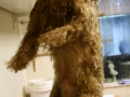 viking-faux-chien-1