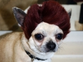 virgin-mobile-kiki-different-look-1