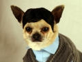 virgin-mobile-kiki-different-look-3
